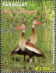 Stamps_of_Paraguay%2C_2013-10.jpg