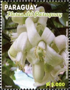 Stamps_of_Paraguay%2C_2013-26.jpg