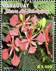 Stamps_of_Paraguay%2C_2013-29.jpg