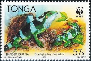 Colnect-2534-059-Fiji-Banded-Iguana-Brachylophus-fasciatus.jpg