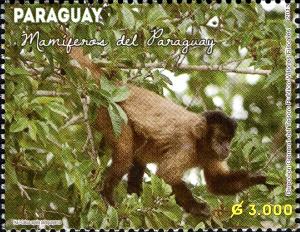 Stamps_of_Paraguay%2C_2013-03.jpg