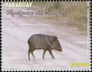 Stamps_of_Paraguay%2C_2013-04.jpg