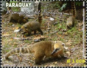 Stamps_of_Paraguay%2C_2013-05.jpg