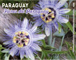 Stamps_of_Paraguay%2C_2013-32.jpg