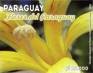 Stamps_of_Paraguay%2C_2013-33.jpg