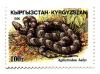 Stamp_of_Kyrgyzstan_110.jpg