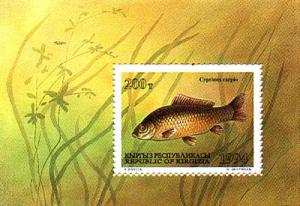 Stamp_of_Kyrgyzstan_048.jpg