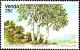 Colnect-6192-862-Trees-Gyrocarpus-americanus.jpg