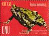 Colnect-5350-445-Green-burrowing-frog-Scaphiophryne-marmorata.jpg