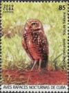 Colnect-5978-176-Burrowing-Owl-Athene-cunicularia.jpg