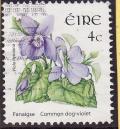 Colnect-1786-652-Common-Dog-Violet-Viola-riviniana.jpg
