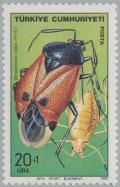 Colnect-2588-082-Bedbug-Deraeocoris-rutilus.jpg