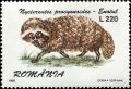 Colnect-4698-909-Raccoon-Dog-Nyctereutes-procyonoides.jpg