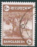 STS-Bangladesh-1-300dpi.jpg-crop-306x390at1415-2344.jpg