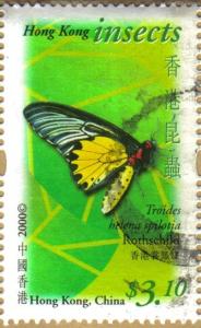 Colnect-969-041-Common-Birdwing-Troides-helena-ssp-spilotia.jpg
