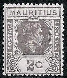 STS-Mauritius-4-300dpi.jpeg-crop-263x309at1565-2414.jpg