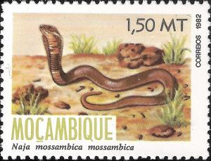 Colnect-1117-089-Mozambique-Spitting-Cobra-Naja-mossambica-mossambica.jpg