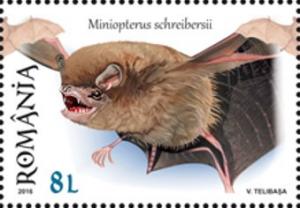 Colnect-3582-288-Common-bent-wing-bat-Miniopterus-schreibersii.jpg