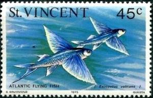 Colnect-5856-940-Blue-Flying-Fish-Exocoetus-volitans.jpg