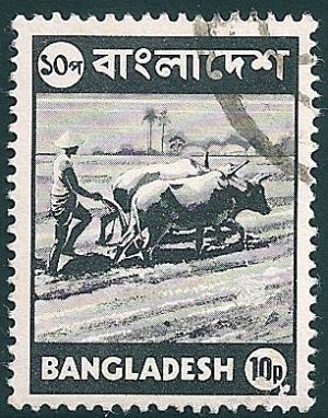 STS-Bangladesh-1-300dpi.jpg-crop-306x390at1722-2344.jpg