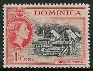 STS-Dominica-5-300dpi.jpeg-crop-452x347at653-331.jpg