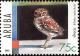 Colnect-2610-158-Burrowing-Owl-Athene-cunicularia.jpg