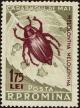 Colnect-4417-916-May-Bug-Melolontha-vulgaris.jpg