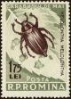 Colnect-4417-917-May-Bug-Melolontha-vulgaris.jpg