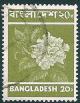 STS-Bangladesh-1-300dpi.jpg-crop-302x390at2033-2340.jpg