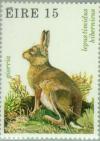 Colnect-128-604-Irish-Mountain-Hare-Lepus-timidus-hibernicus.jpg