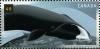 Colnect-210-028-Bowhead-Whale-Balaena-mysticetus.jpg