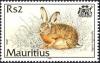 Colnect-2374-511-Indian-Hare-Lepus-nigricollis.jpg