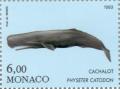 Colnect-149-602-Sperm-Whale-Physeter-catodon.jpg