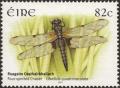 Colnect-1605-470-Four-spotted-Chaser-Libellula-quadrimaculata.jpg