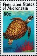 Colnect-5576-511-Hawksbill-turtle.jpg