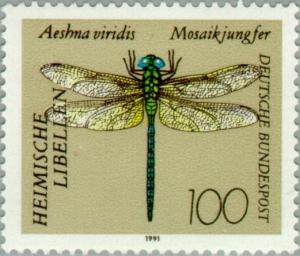 Colnect-153-789-Green-Hawker-Aeshna-viridis.jpg