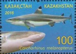 Colnect-4445-407-Blacktip-Reef-Shark-Carchorhinus-melanopterus.jpg