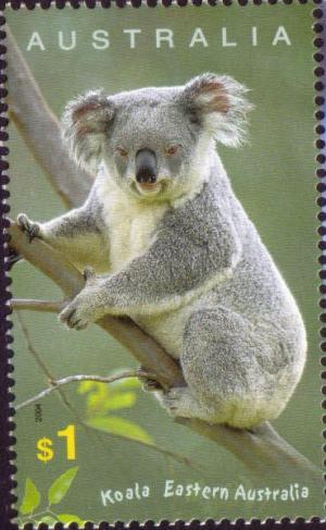 Colnect-455-846-Koala-Phascolarctos-cinereus.jpg