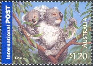 Colnect-471-258-Koala-Phascolarctos-cinereus.jpg