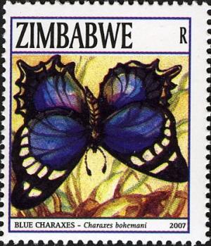 Colnect-555-316-Large-Blue-Charaxes-Charaxes-bohemani-.jpg