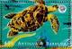 Colnect-5683-064-Hawksbill-turtle.jpg