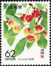 Colnect-2277-250-Cherries-yamagata.jpg