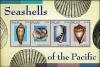 Colnect-4909-966-Seashells-of-the-Pacific.jpg