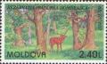 Colnect-191-764-Nature-Reserve--quot-Herrschers-Forest-quot--Red-Deer-Cervus-elaphus.jpg