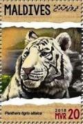 Colnect-4940-139-Panthera-tigris-altaica.jpg