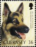 Colnect-5506-909-German-Shepherd-Canis-lupus-familiaris.jpg