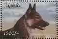 Colnect-6075-905-German-Shepherd-Canis-lupus-familiaris.jpg