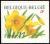 Colnect-5718-617-Wild-Daffodil-Selfadhesive-Right-and-bottom-imperforate.jpg