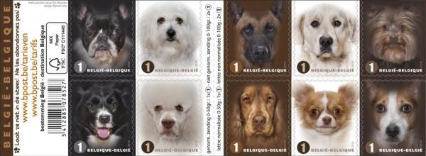 Colnect-1958-034-Booklet-with-the-10-most-Popular-Dog-Breeds.jpg