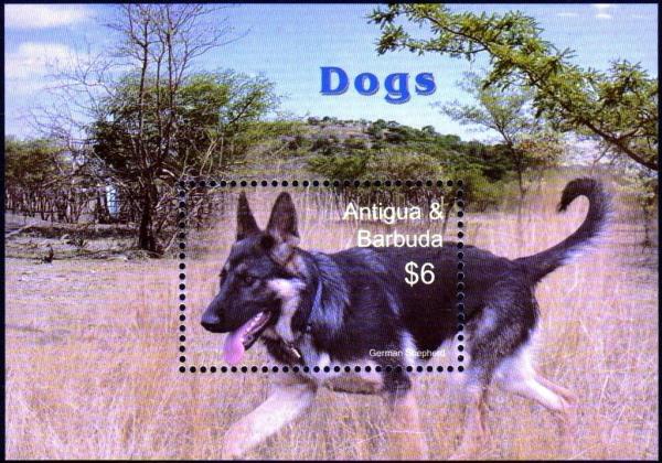Colnect-3414-750-German-Shepherd-Canis-lupus-familiaris.jpg